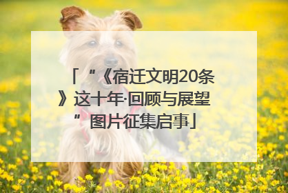 “《宿迁文明20条》这十年·回顾与展望”图片征集启事